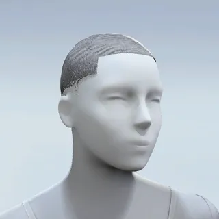 HAIR