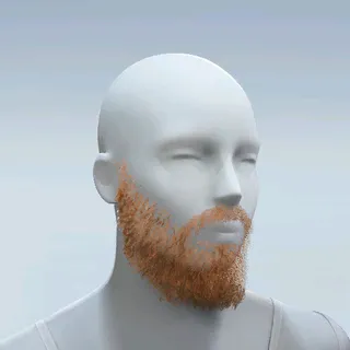 FULL BEARD