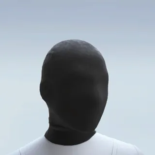CHAMPION'S MASK