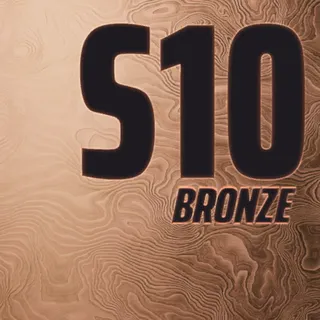 S10 BRONZE GLINT