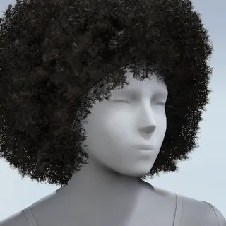 HAIR