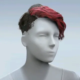 HAIR