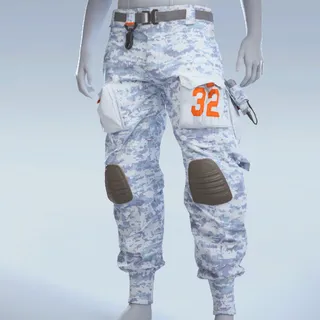 SNOWBAG CARGOS