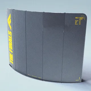 STANDARD ISSUE