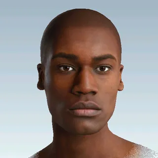 HEAD 1