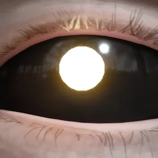 BLAZORIN LENSES