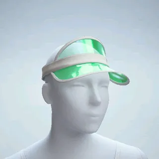 HOUSE-EDGE VISOR