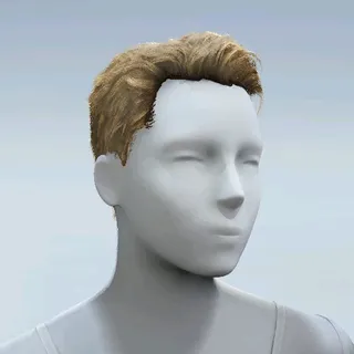 HAIR