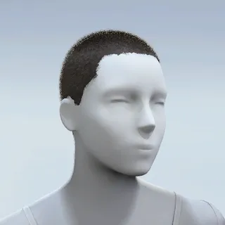 HAIR