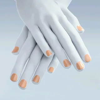 NEUTRAL CORE
