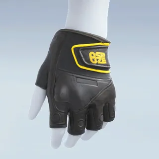 WEIGHTLIFTING GLOVES