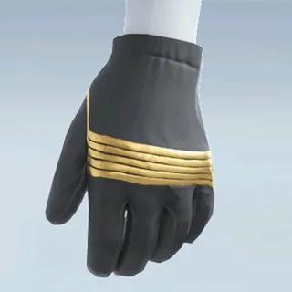 CHAMPION'S GRIP