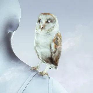 OBSERVER OF ORDER — Alternate
