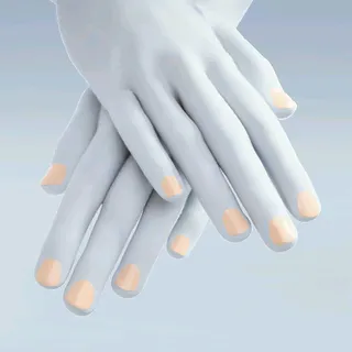 NEUTRAL CORE