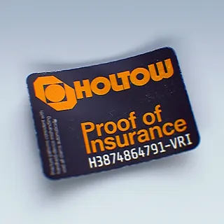HOLTOW INSURED