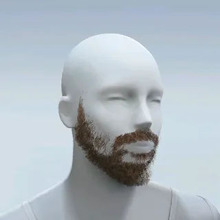 SCRUFFY BEARD