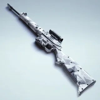 POLYGON PARAGON