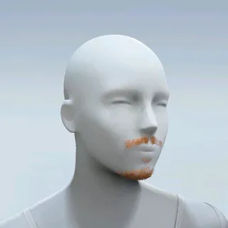 GOATEE AND MUSTACHE