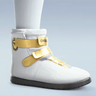 VANGUARD SHOES