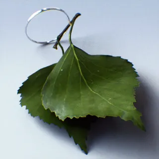 FINALS' FOLIAGE