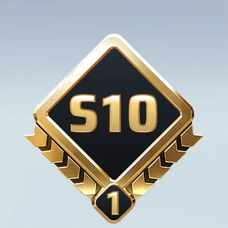 S10 COMBATANT