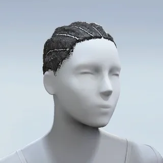 HAIR