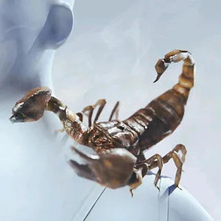 CLUTCH CLAWS