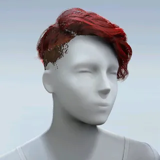 HAIR