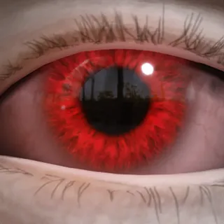 UNIVERSAL DONOR