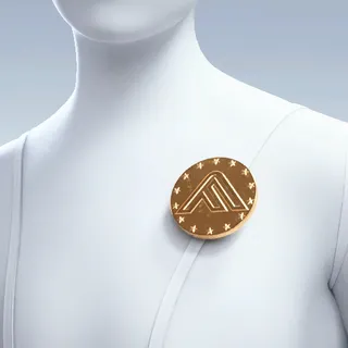 COIN OF PRIVILEGE