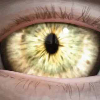 PROWLER LENSES