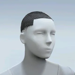 HAIR