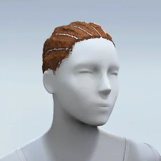 HAIR
