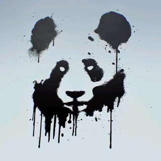 PANDA PATCHES
