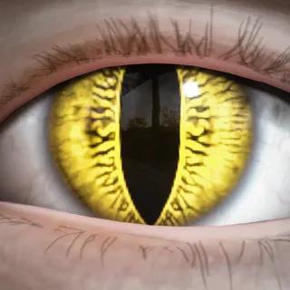 LIZARD-LOOK LENSES