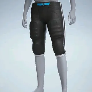 INTEGRATED PANTS
