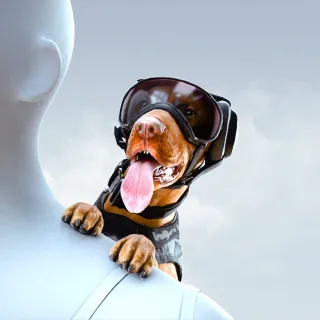GENERAL GOODBOY SET