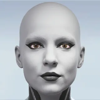 NULL ADORNMENT