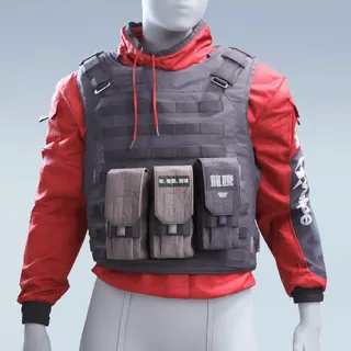 FLAK VEST