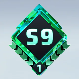 S9 COMBATANT