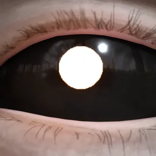 MONO NO ME