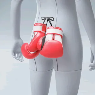 BOXING GLOVES