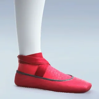 POINTE SHOES