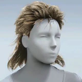 HAIR