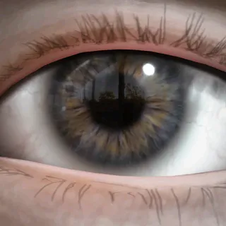 GRAY EYES