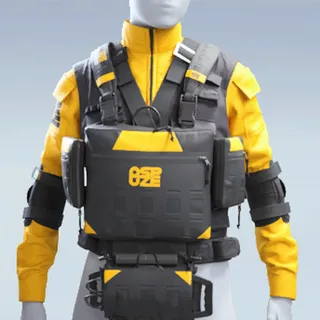 CORE CARRIER VEST