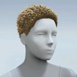 HAIR