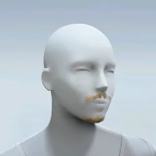 GOATEE AND MUSTACHE