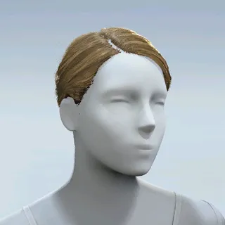 HAIR