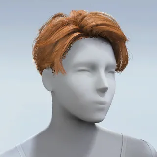 HAIR